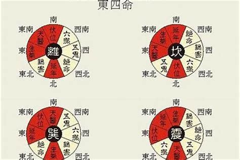 东四宅 西四宅|什么是东四宅和西四宅？